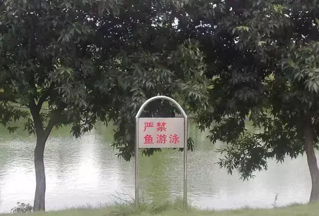 這一些沙雕標(biāo)牌廣告標(biāo)語(yǔ)，讓我站路邊笑了半天停不下來(lái)23