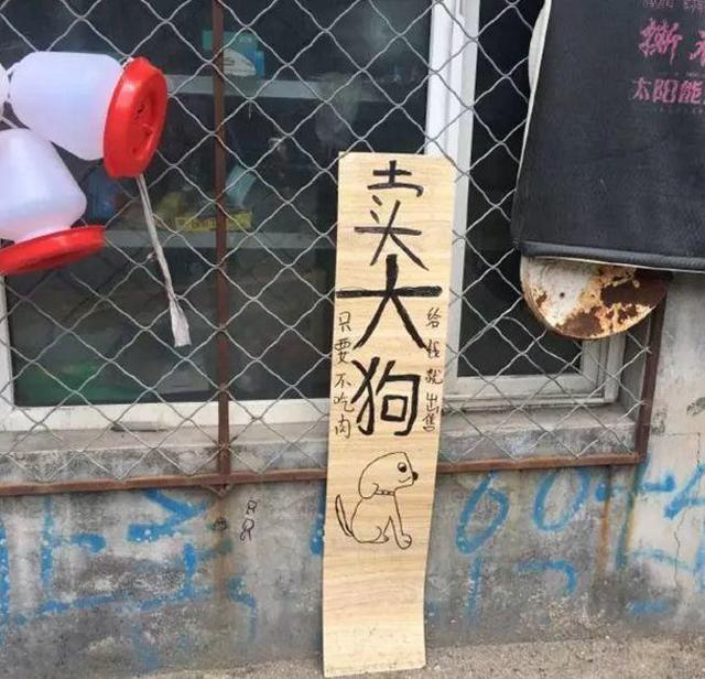 中國街道廣告牌燈箱有多野？看看這些讓人笑掉大牙的牌子名20